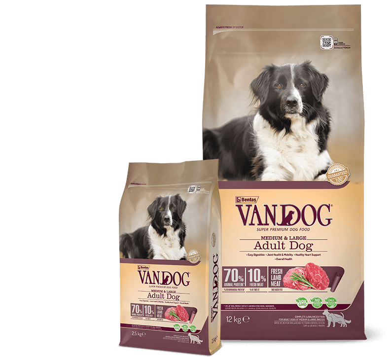 Vandog-Ml-Adult-Lamb-Packages