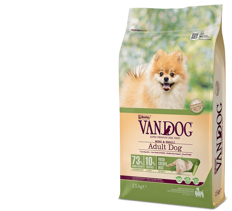 Vandog-Ms-Adult-Chicken-Package
