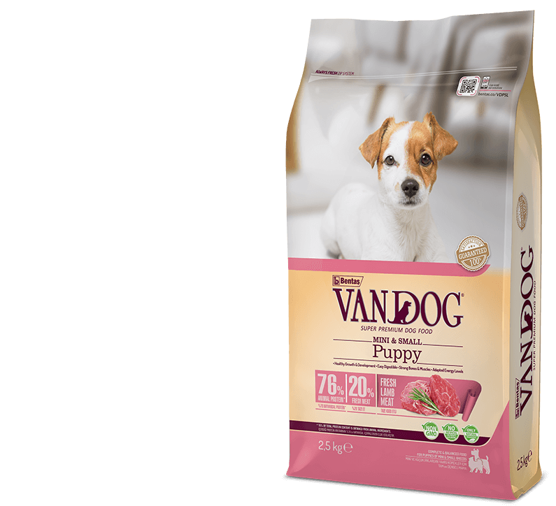 Vandog-Ms-Puppylamb-Package