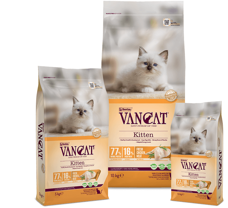 Vancat-Kitten-Chicken-Packages